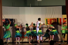 IMG_8244-1