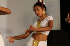 IMG_0833
