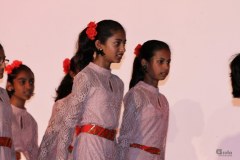 IMG_0866