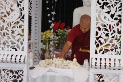 IMG_3981-1