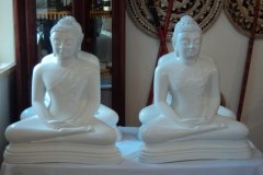 DSC00999