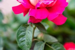 DSC_6101