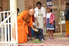 new_year_2022-1