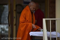 new_year_2022-7