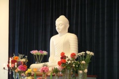 DSCF8088