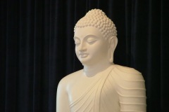 DSCF8089